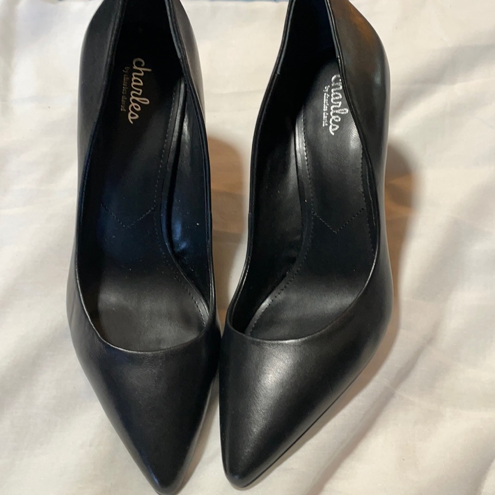 Charles By David Charles High Heels. Brand New!